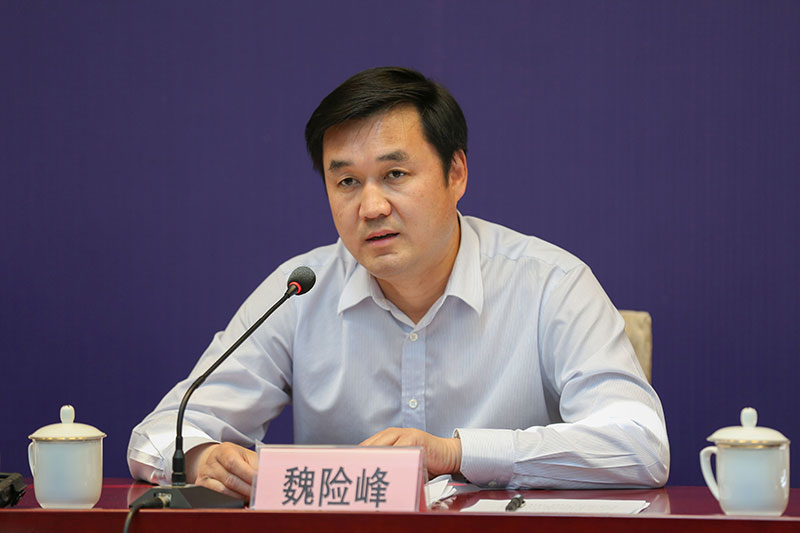 河南省文物局郑小玲,洛阳市魏险峰发布会