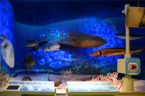 1700631500582822.jpg 图4_副本.jpg