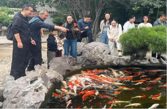 6.png